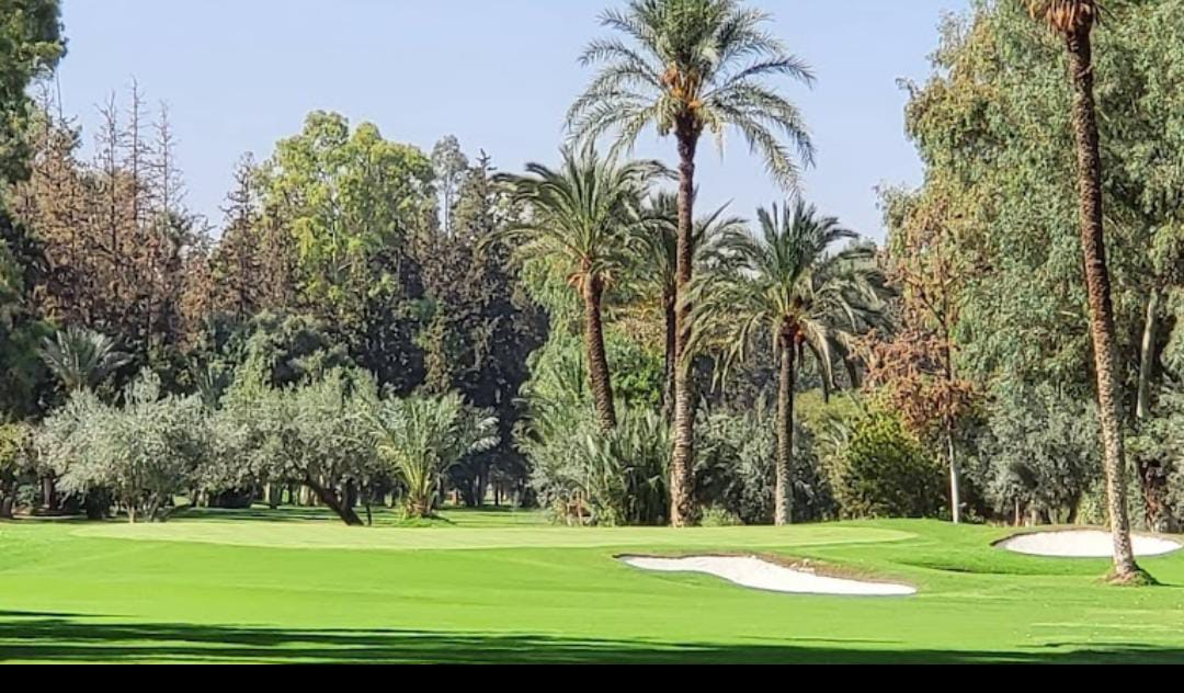 royal-golf